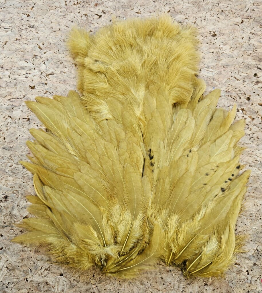 Signature Soft Pach hackle Golden Olive