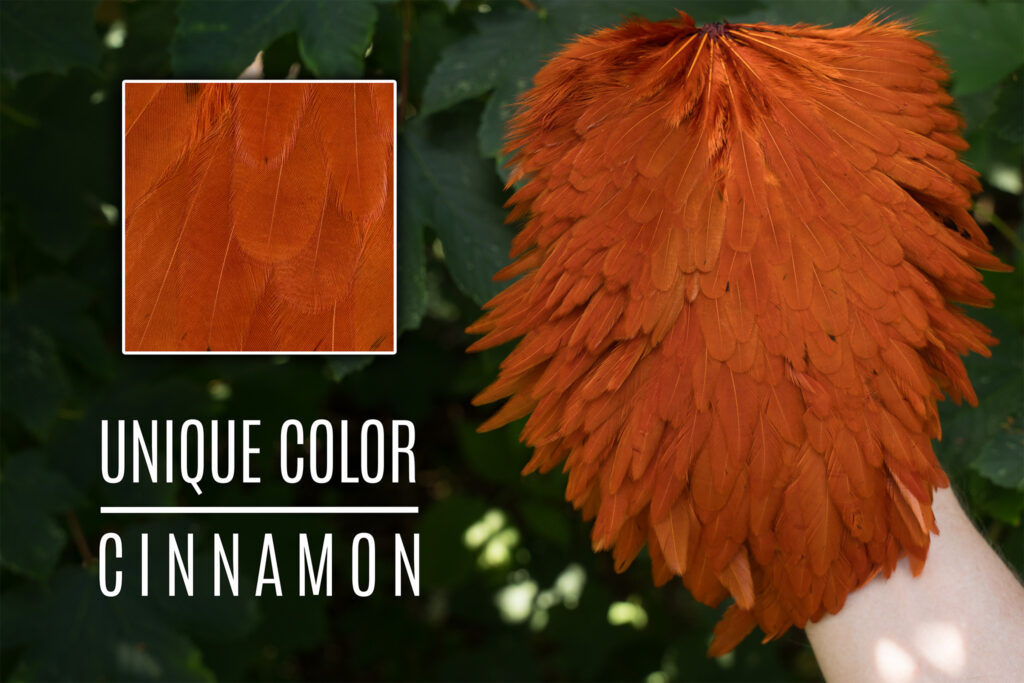 Hen saddle dyed Ginger