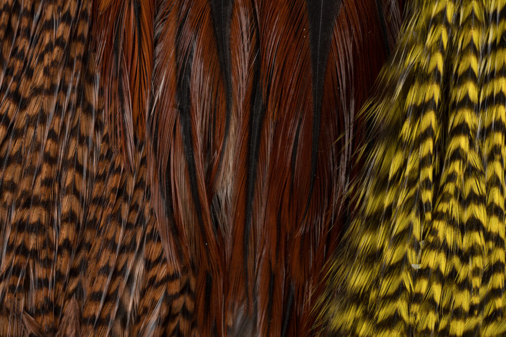 Ewing Rooster Variety Pack