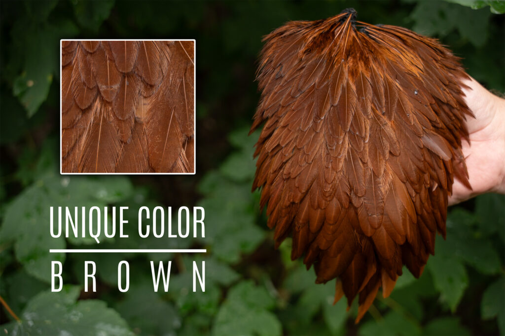 Signature Hensaddle Brown
