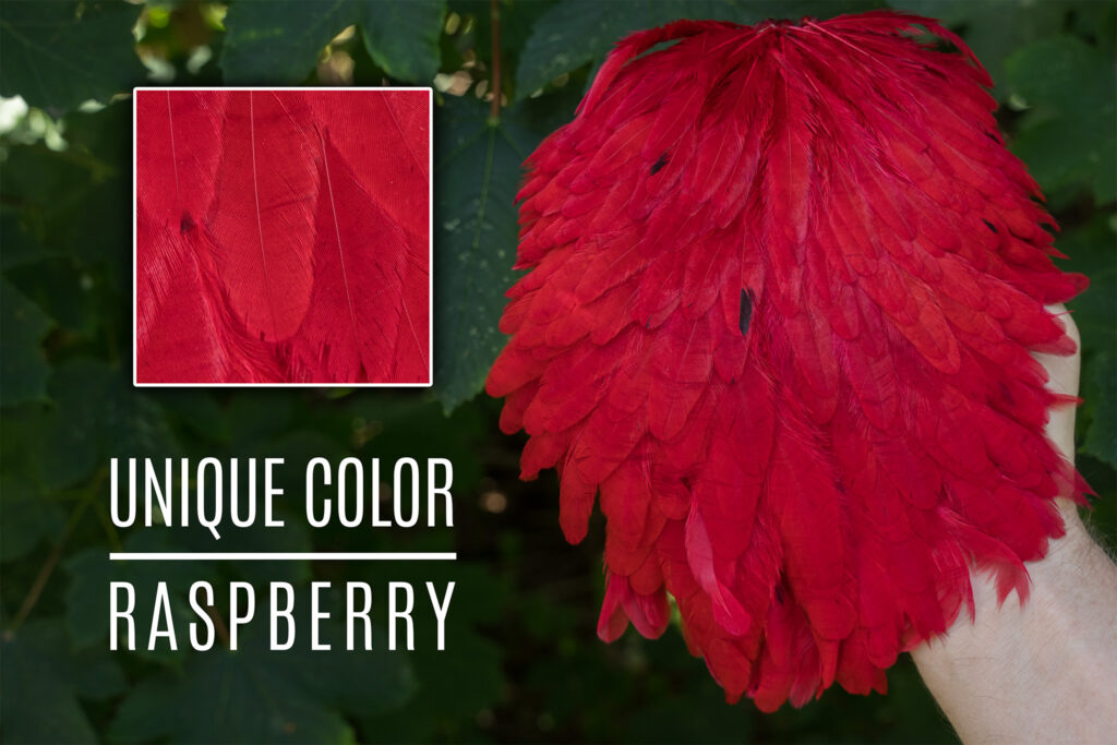 Signature Hensaddle Raspberry