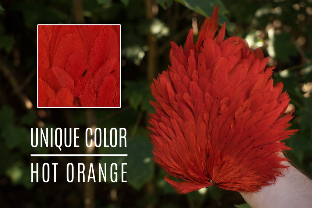 Signature Hensaddle Hot Orange